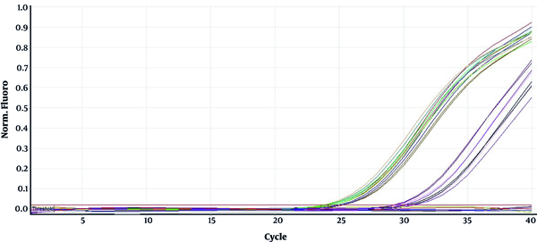The amplification curve of Bax, Bcl-2, GAPDH genes in concentrations of 0, 800, 1200 and 2000 μg/mL