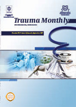 Trauma Journal