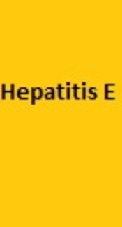 Seroprevalence and Risk Factors of Hepatitis E Among Women of Reproductive Age Residing in Birjand in 2016