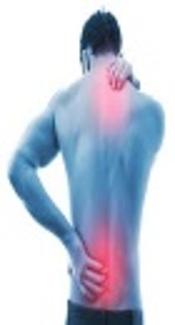 Combined Effects of Postural Education, Therapeutic Massage, Segmental Stretching, and Motor Control Exercise in a 19-Year-Old Male with Chronic Back Pain and Kypholordotic Posture: A Case Report