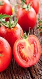 Pesticide Multiresidue Analysis in Tomato and Cucumber Samples Collected from Fruit and Vegetable Markets in Tehran, Iran