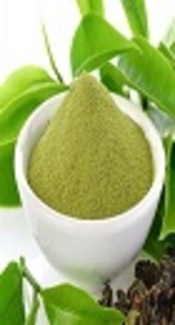 The Combined Effect of Short Term Green Tea Extract and a Single Bout of Cycle Ergometer on Glycerol and Free Fat Acid of Trained Males