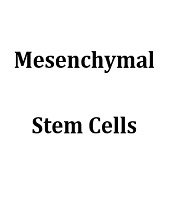Journal of Skin and Stem Cell 
