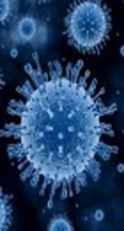 A Real-Life Study of New Antiviral Therapies in a High Prevalence Geographical Area for Hepatitis C Virus Infection