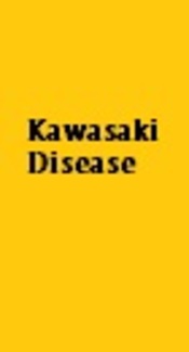 Prolonged Fever and Intravenous Immunoglobulin Resistance in Kawasaki Disease: Should Macrophage Activation Syndrome Be Considered?