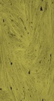 Comparison of Cell Proliferation and Adhesion of Human Osteoblast Differentiated Cells on Electrospun and Freeze-Dried PLGA/Bioglass Scaffolds