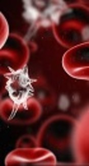 Prevalence and Severity of Thrombocytopenia in Blood Culture Proven Neonatal Sepsis: A Prospective Study