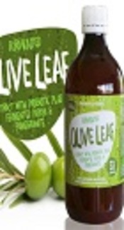 Olive Leaf Extract, Probiotic Foods