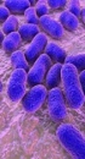 https://www.news-medical.net/?tag=/Acinetobacter-Baumannii