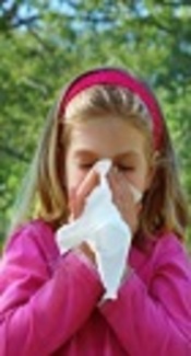 The Potential Cause of Allergy for Children: Soil Contamination with Mites, Bugs, and Geohelminths