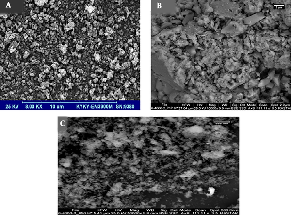 Scanning electron microscopy images of (A) Fe3O4, (B) Fe-doped TiO2, and (C) Fe-doped TiO2@Fe3O4