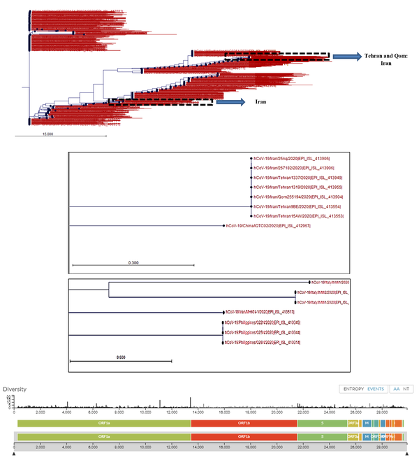 Phylogenetic tree of SARS-CoV-2 strains recovered from different countries around the world. Phylogenetic tree was drawn using CLC Genomic Workbench 11.0.1 based on the released sequences of SARS-CoV-2 from different countries, including Iran. The sequence of Wuhan-Hu-1/2019 was used as the reference. The Iranian strains were clustered at two distinct locations, which were originally related to one strain from China (seven Iranian strains, Upper dashed box) and one strain isolated from Philippine (Lower dashed box). Nucleotide diversity of SARS-CoV-2 isolates at nucleotide levels was provided from GISAID-Global Initiative on Sharing All Influenza Data-database based on the shared data updated on 2020-03-20.