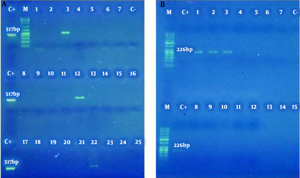 The amplification product of Chlamydia trachomatis obtained from semen samples of infertile men. M: Size Marker 1 Kb DNA Ladder (Bioflux); C+: Positive Control; C-: Negative Control; Positive Samples: 3, 12, 22; Negative Samples: 1, 2, 4 - 11, 13 - 21, 23 – 25 (A). Amplification product of Listeria monocytogenes obtained from semen samples in infertile men. M: Size Marker 1 Kb DNA Ladder (Bioflux); C+: Positive Control; C-: Negative Control; Positive Samples: 1, 2, 3; Negative Samples: 4 – 15 (B).