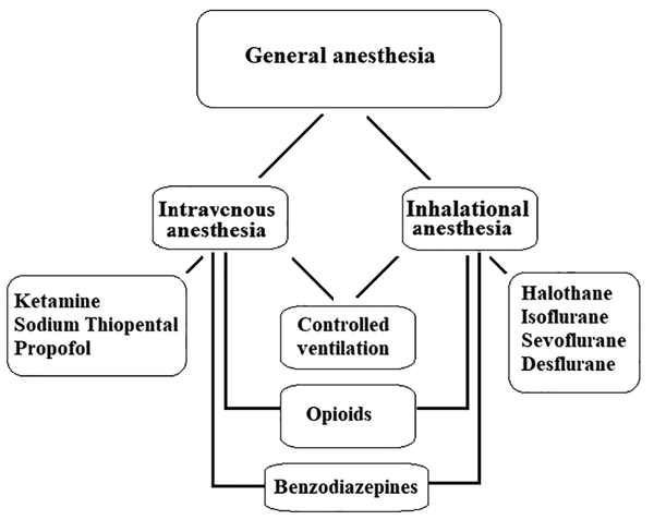 General anesthesia in summery