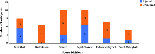 Distribution of lower extremity injuries according to sports divisions