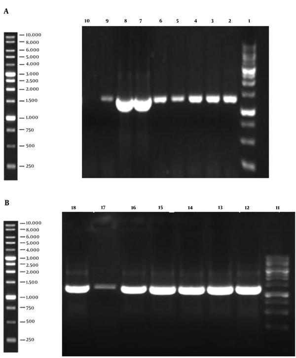 Colony PCR Results of Recombinant pPICZ A (a) and pPINK-Hc (b) vectors on agarose gel; lane 1 and 11: ladder, Lanes 2-8, and 12-18: PCR result of recombinant colonies demonstrates successful cloning of the gene by the appearance of the 1,296 bp band on the gel. Lane 9: PCR positive control. Lane 10: PCR negative control.