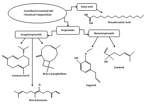 Chemical structures of the most frequent compounds from the essential oils of the Scutellaria genus
