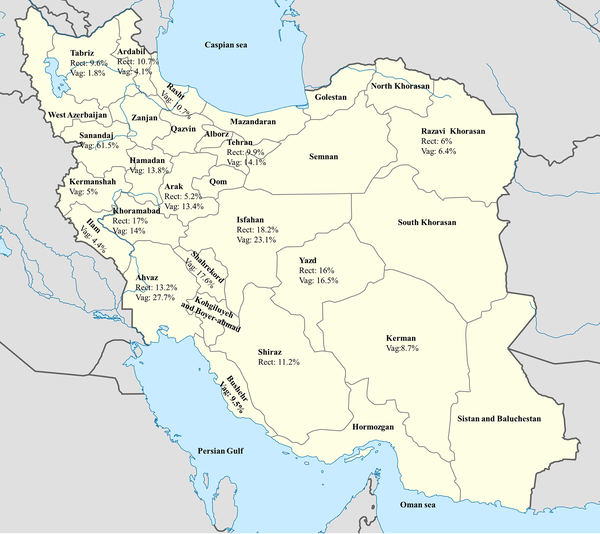 Incidence of Group B streptococcus-positive in different cities in Iran. Source: Map of Iran powered by http://www.wikipedia.com/ (Note: Rect, rectovaginal; Vag, vaginal)