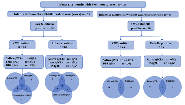 HCMV and rubella status in saliva, lens aspirates, and DBS samples of cataract cases and controls (n = 130)