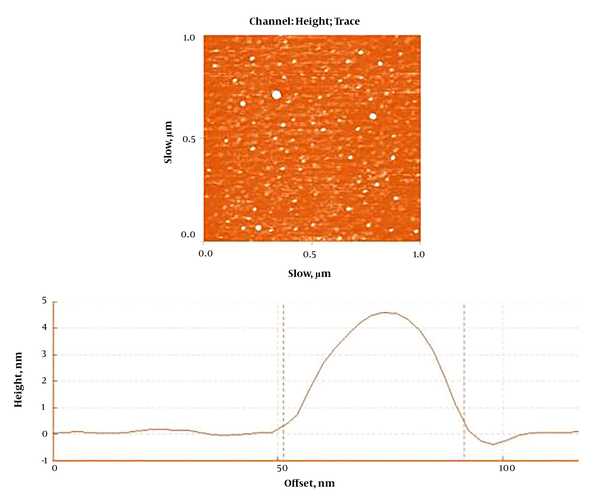 AFM image of NTiO2. Spherical morphology and particle size homogeneous distribution are observed.