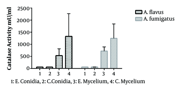 Comparison of mycelial and conidial catalase activities from clinical and environmental isolates. A, Aspergillus; E, environmental; C, clinical.