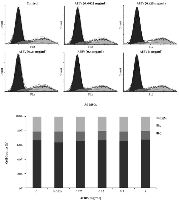Effect of AEBV on cell cycle distribution of Ad-MSCs. Ad-MSCs were cultured in a 6-well plate and treated with AEBV (0.125 to 1 mg/mL) for seven days. Cell cycle dissemination of Ad-MSCs in different phases of the cell cycle was evaluated by flow cytometry.