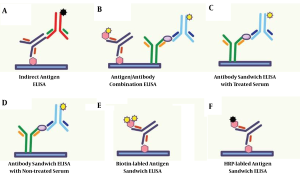 Different types of ELISA tests used in this research.