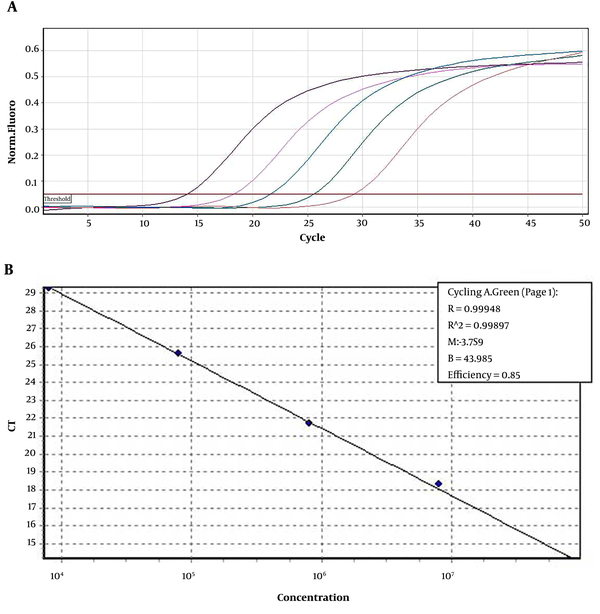 Amplification plot (A) and standard curve (B) of 10-fold serial dilutions of the HCV 5’NCR RNA with a correlation coefficient (R2) of 0.99.