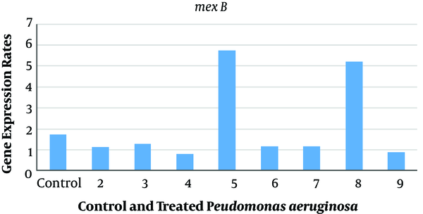 Expression rates of mexB in Pseudomonas aeruginosa PAO1 before and after exposure to antibiotics and nanoparticles (NPs). Control, Expression rate of efflux pumps in Pseudomonas aeruginosa (PAO1); 2, expression rate of efflux pumps in PAO1 exposed to chitosan nanoparticles with gentamicin (CNG); 3, expression rate of efflux pumps in PAO1 exposed to chitosan nanoparticles with ciprofloxacin (CNC); 4, expression rate of efflux pumps in PAO1 exposed to chitosan NPs; 5, expression rate of efflux pumps in PAO1 exposed to silver nanoparticles with gentamicin (ANG); 6, expression rate of efflux pumps in PAO1 exposed to silver nanoparticles (AgNPs); 7, expression rate of efflux pumps in PAO1 exposed to silver nanoparticles with ciprofloxacin (ANC); 8, expression rate of efflux pumps in PAO1 exposed to ciprofloxacin; 9, Expression rate of efflux pumps in PAO1 exposed to chitosan.
