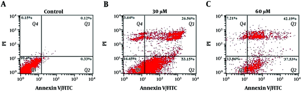 Apoptotic cell determination of ACHN cancer cells at different concentrations of ferulic acid by flow cytometry and Annexin V/PI staining, Group A: Control group (without ferulic acid treatment), Group B: Treatment with 30 μM of ferulic acid, Group C: Treatment with 60 μM of ferulic acid, Q1: Viable cells (Annexin V-/PI-), Q2: Early apoptotic cells (Annexin V-/PI+), Q3: Late apoptotic cells and early necrotic cells (Annexin V+/PI+), Q4: Necrotic cells (Annexin V-/ PI+), Analyzing the Expression of apoptosis-associated Genes