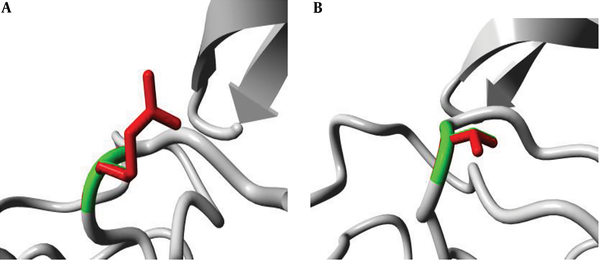 (A) Close view of mutation S315R, (B) Close view of mutation S315T. The protein is colored grey; the side chains of both wild-type and mutant residues are shown and colored green and red, respectively.