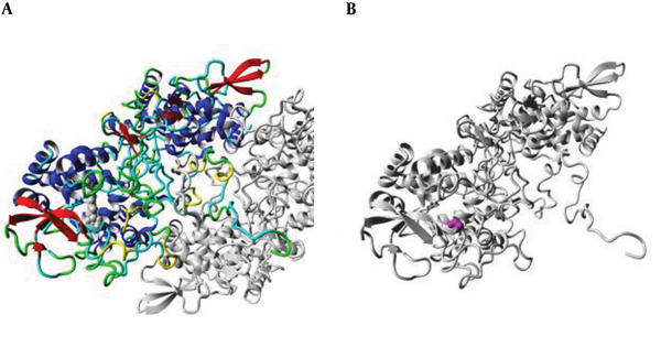(A) An overview of the KatG protein in ribbon-presentation. The protein is colored by the element; α-helix = blue, β-strand = red, turn = green, 3/10 helix = yellow, and random coil = cyan. (B) The protein is colored grey, and the side chain of the mutated residue is colored magenta and shown as small balls. This shows the position of the mutation in the ribbon structure.