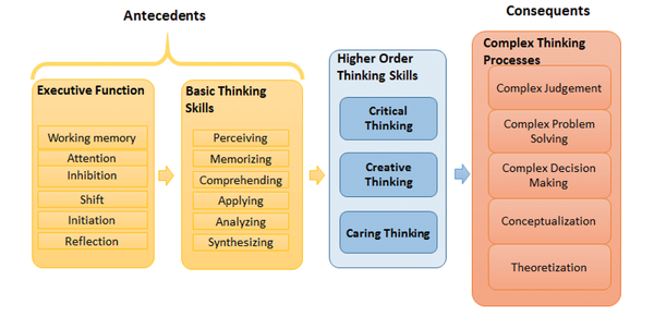 Antecedents and consequences of higher-order thinking skills
