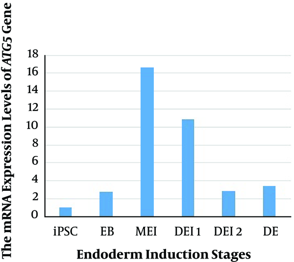 The mRNA expression levels of ATG5 gene in human iPSC during endoderm induction. EB: embryoid body, ME: mesendoderm, DE: definitive endoderm.