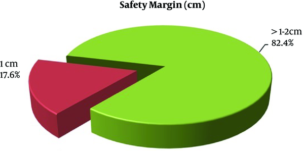 Pie chart shows safety margin among 13 incidentally