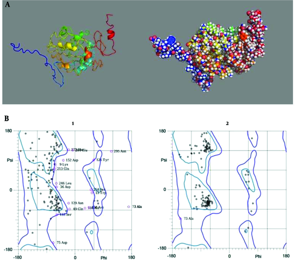 (A) Cartoon (left- hand) and sphere (right-hand) models of the designed poly-epitope vaccine which were visualized by PyMol software. (B) Ramachandran plots of the raw (1) and the refined (2) models of the vaccine. Compared with the primary model, in the refined model most amino acid residues have been located in favored region.