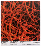 <b><i class='fa-duotone fa-file-image me-1 text-warning'></i>J Human Gen Genom</b> J Human Gen Genom