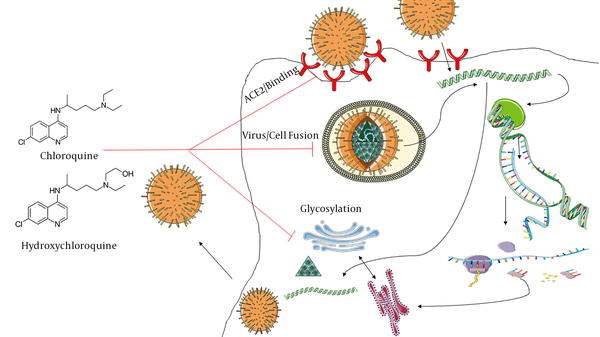 chloroquine mechanism of action