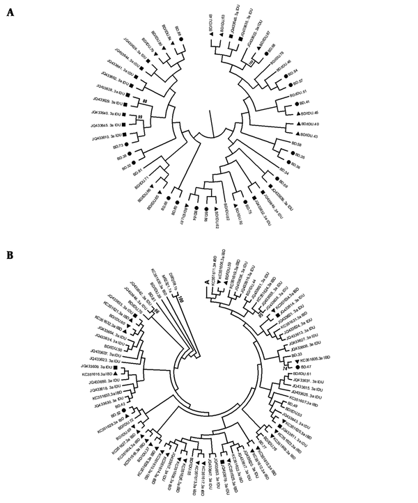 phylogenetic tree of HCV subtype 3a strains was constructed by UPMEGA kimura-2 parameter model based on partial sequences of NS5B region of HCV genome from 58 blood donors including of blood donors denied to report IDU risk (BD) and blood donors who reported IDU risk (BD/IDU), 48 injecting drug users (IDU) and 31 inherited bleeding disorders patients (IBD) retrieved from GenBank. Accession numbers of IDU and IBD sequences were shown. In the small clusters BD, BD/IDU, IDU, and IBD sequences were indicated by symbols of ●, ▲, ■ and ▼. Bootstrap values based on 1000 replicated > 70 are given at the branches. The tree was illustrated in 2a for the upper part and 2b for the rest as described in the text.