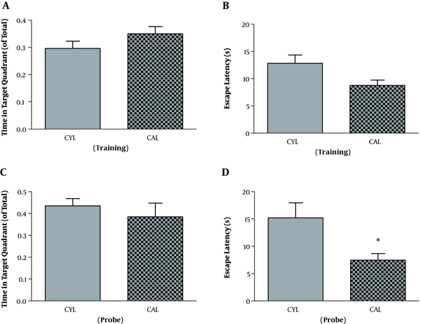Comparison of young and adult rats in MWM performance. Comparison of young and adult rats in time spent in the target quadrant (A) and escape latency (B) during the training phase. Comparison of young and adult rats in time spent in the target quadrant (C) and escape latency (D) during the probe phase. Data represent mean ± SEM. *, P &lt; 0.05.