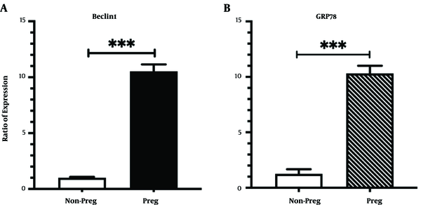 The levels of BECLIN1 and GRP78 transcripts in the liver of pregnant rats compared to the non-pregnant group. Data are presented as the fold of increase in the expression of genes relative to that of the control non-pregnant group and are the mean and SEM of three samples. ***, P &lt; 0.001