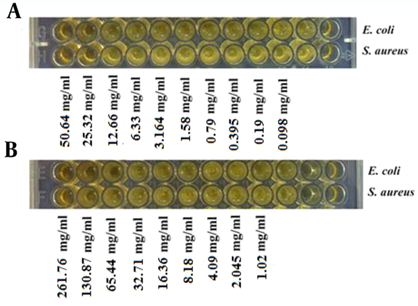 A, MIC of the methanol extract of MMP5 supernatant cultured by L. casei strain K1C under anaerobic conditions for 48 hours against S. aureus ATCC 6538 (MIC 25.33 mg/mL) and E. coli ATCC 11303 (MIC 50.64 mg/mL); B, MIC of the methanol extract of MMP5 supernatant cultured by L. casei strain K1C under aerobic conditions for 48 hours towards S. aureus ATCC 6538 (MIC 261.76 mg/mL) and E. coli ATCC 11303 (MIC 130.87 mg/mL).