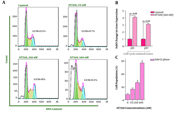 The impact of AT7519 on the dissemination of the cells in each phases of the cell cycle. A, DNA content analysis revealed that AT7519 could accumulate the cells in G2/M phase; B, U937 cells treatment with AT7519 resulted in the elevation in the expression level of p21 and p27; C, Upon exposure of the cells to the various doses of the CDK inhibitor, the amount of cells in the Sub-G1 phase was augmented considerably. (*, statistically significant).