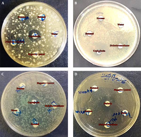 Disk diffusion antimicrobial susceptibility test of hexane, dichloromethane, water, and butanol partitions against a) S. aureus, b) E. coli, c) P. aeruginosa, and d) C. albicans.