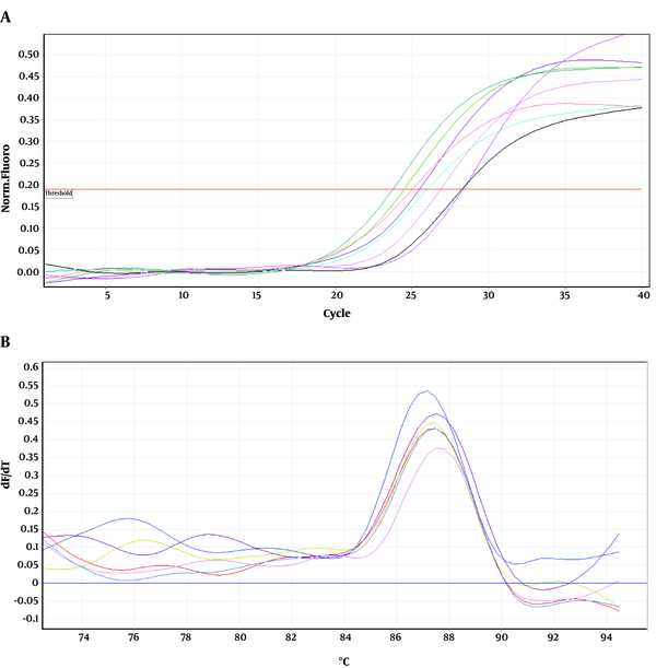 Amplification and melting curves of recA gene in wild type and mutants.
