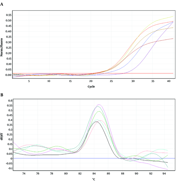 Amplification and melting curves of umuD gene in wild type and mutants.