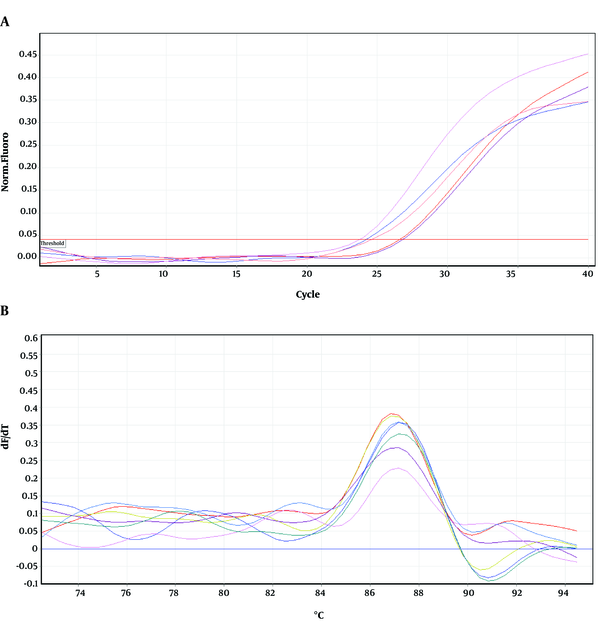 Amplification and melting curves of dinB gene in wild type and mutants.