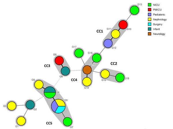 The minimum spanning tree showing the diversity of genotypes between different wards of the hospital. Each circle represents each genotype, and each halo surrounding each genotype represents clonal clusters (CCs). Dark, thin, and dashed lines related to one, two, or more different alleles, respectively, indicate the genetic distance among the genotypes.