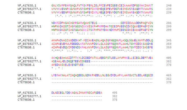 Partial C terminal amino acid sequence alignment of nusA gene from MG1655 (NP-417638.1), S. uberis (WP-037592777) and Streptococcus pneumonia (CTE79830).