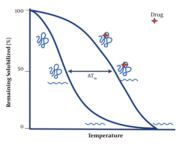 The basics of the thermal shift assay (43). After drug-protein interaction, the stability of protein increases, requiring more energy for its denaturation.